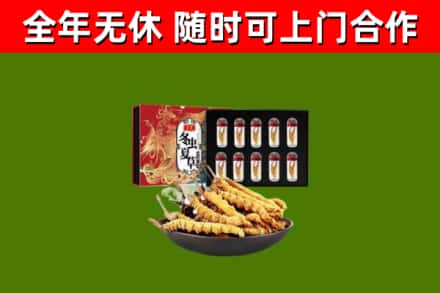 昆明回收冬虫夏草价格